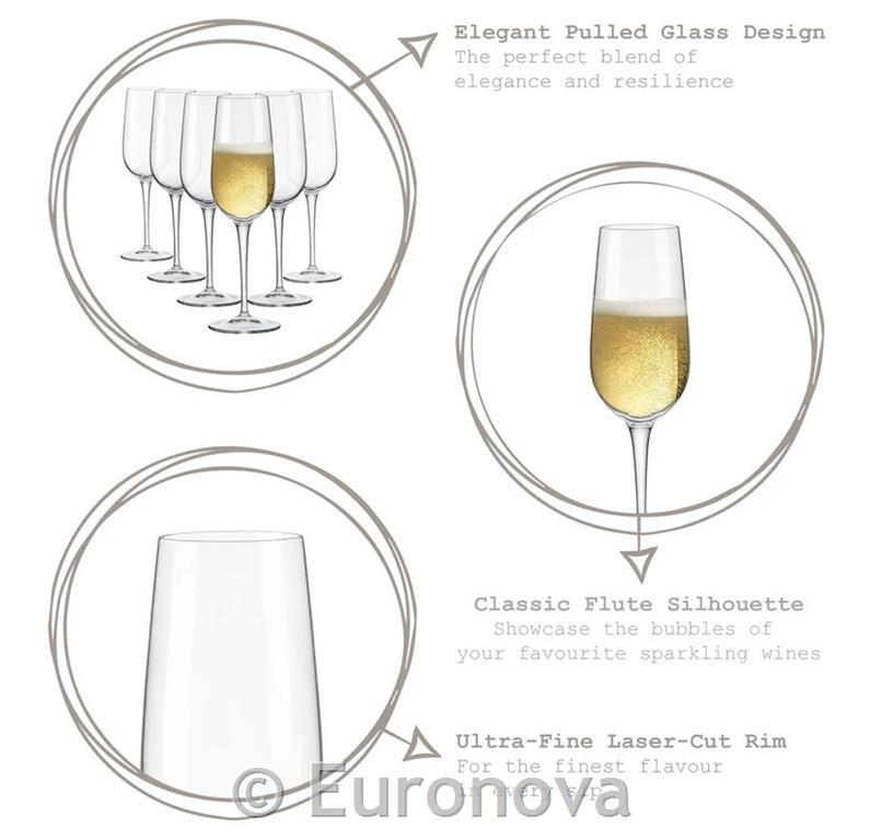 Spazio champagne glass / 19cl / 3pcs