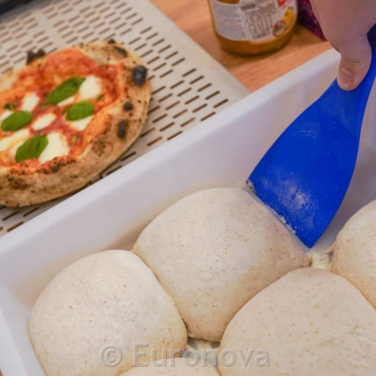 Dough Proofing Box / 40x30cm / 12cm