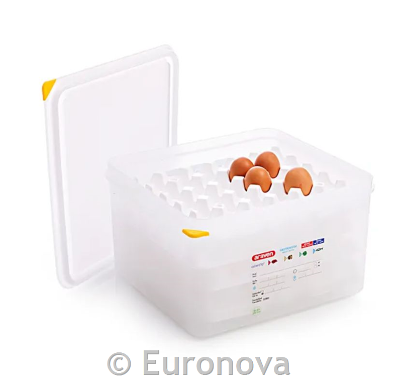 Container for storing eggs / GN 2/3 /19L