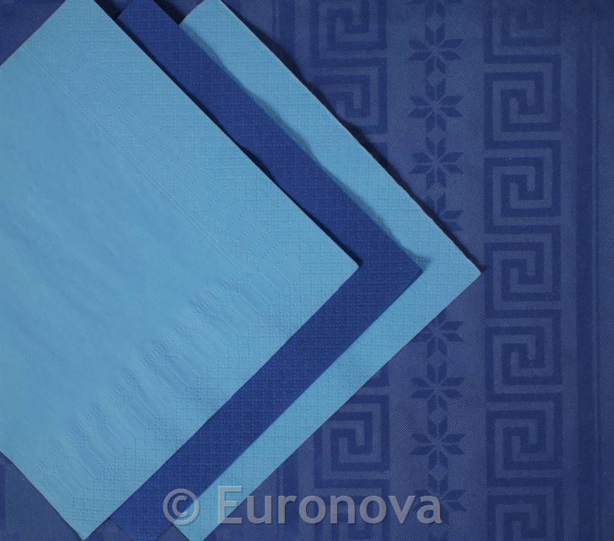 Napkins / 2ply / 24x24cm /blue/ 250pcs