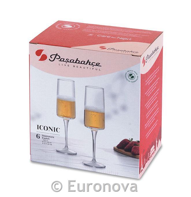 Iconic Champagne glass / 19cl / 6 pcs