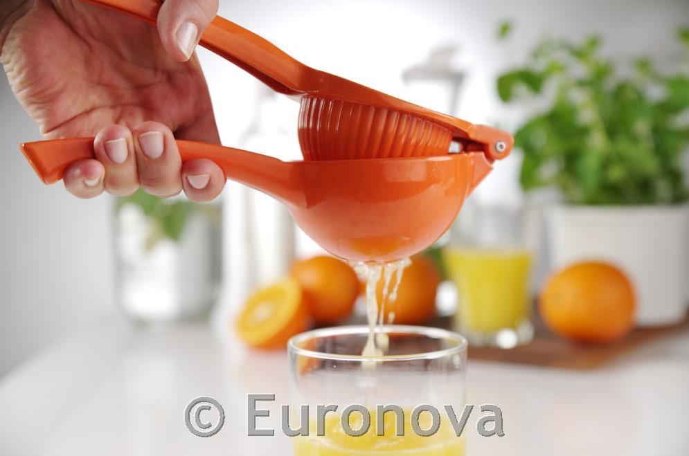 Citrus Squeezer / Colored