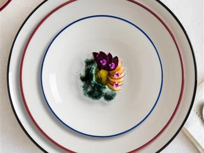 Linea by Bonna Premium Porcelain