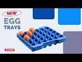 Container for storing eggs / GN 2/3 /19L Container for storing eggs / GN 2/3 /19L