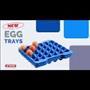 Container for storing eggs / GN 2/3 /19L Container for storing eggs / GN 2/3 /19L